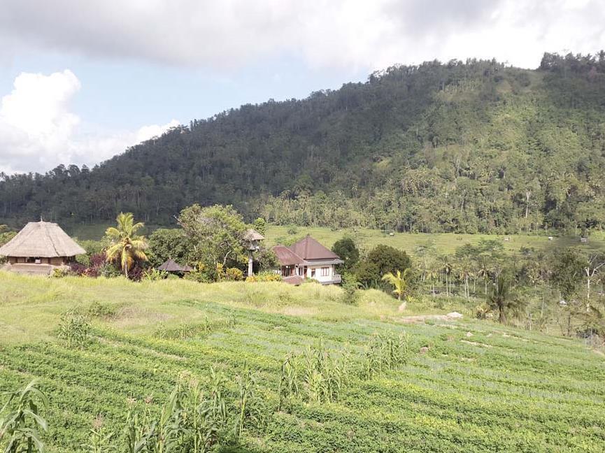 Embang Homestay Sidemen  Exteriör bild